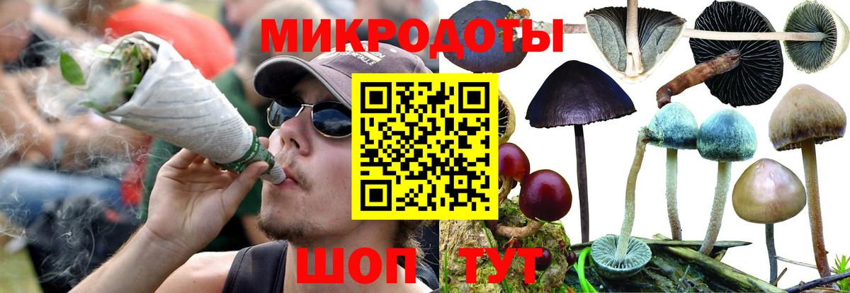 Псилоцибиновые грибы мицелий  Вход с VPN  Фролово 